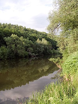 Osiotr river.jpg