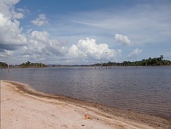 Brokopondo Waduk seperti yang terlihat dari Stoneiland