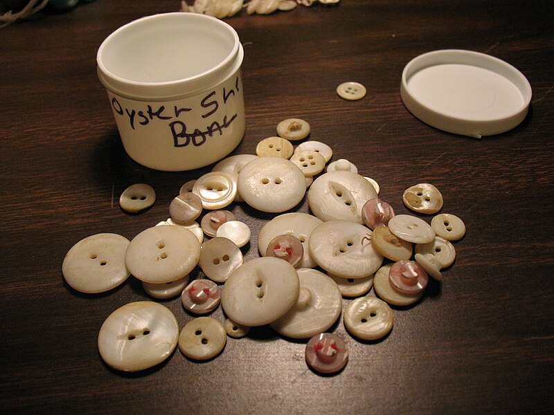 File:Oyster shell buttons.jpg