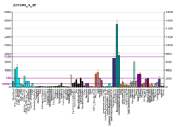 PBB GE ANXA2 201590 x bei fs.png