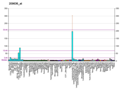 PBB GE NFKB2 209636 à fs.png