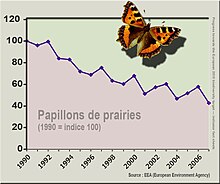 Papillons prairies.jpg