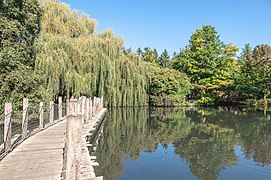 Passerelle sur l'étang du Parc zoologique et botanique de Mulhouse