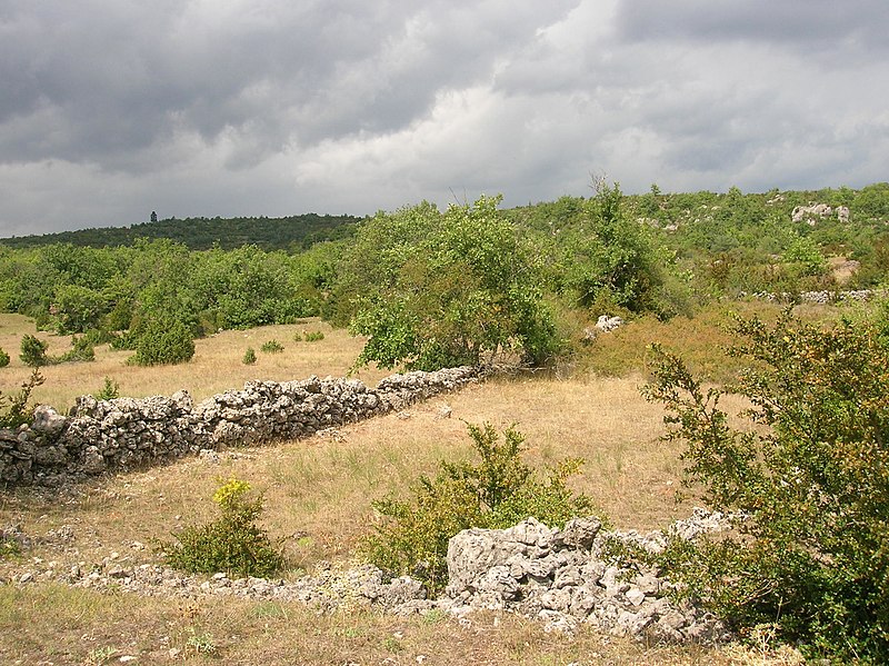 Fichier:Paysage du Causse du Larzac.JPG