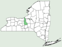 Phragmites americanus NY-dist-map.png