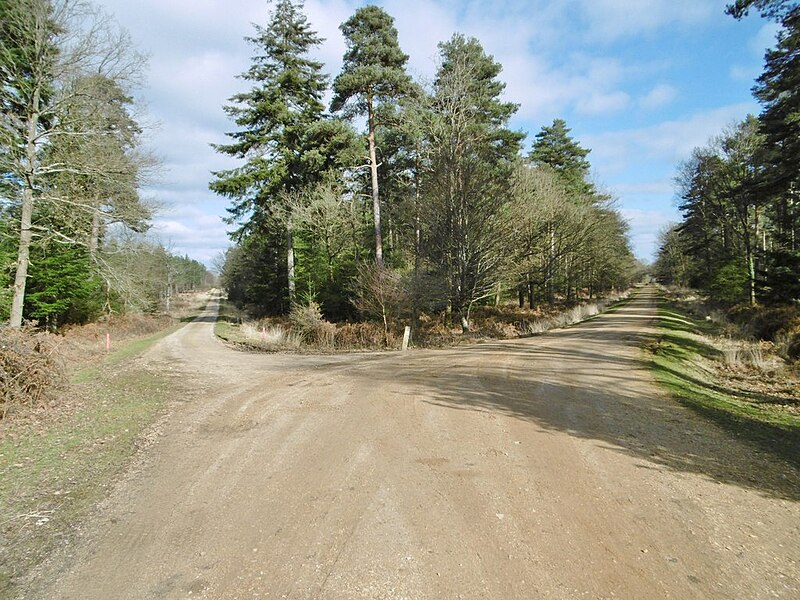 File:Pignal Inclosure, cycle route junction - geograph.org.uk - 4352580.jpg