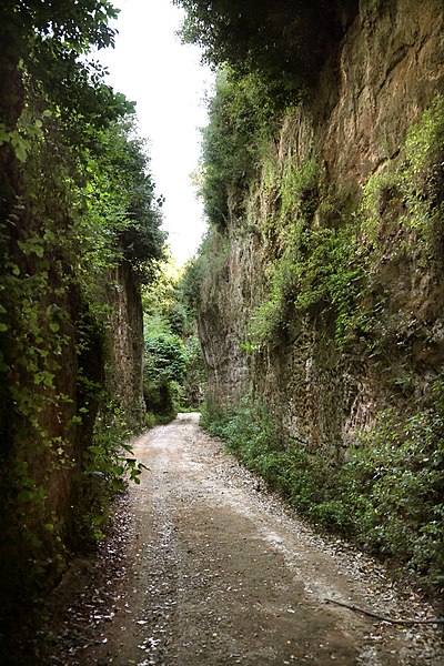 File:Pitigliano, via cava etrusca (il cavone) 08.jpg