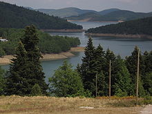 Bestand der Griechischen Tanne am Plastiras-Stausee