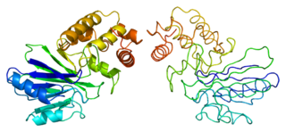 <span class="mw-page-title-main">HAGH</span> Protein-coding gene in the species Homo sapiens