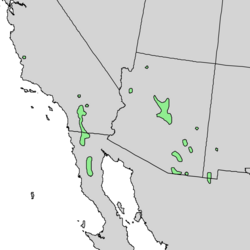 Distribución natural de Quercus palmeri