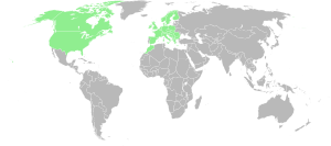 Range map-Senecio squalidus-World.svg