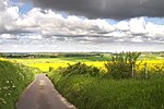 Thumbnail for File:Rapeseed Fields - geograph.org.uk - 31278.jpg