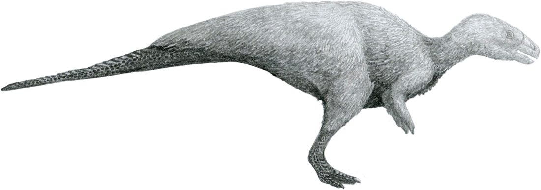 Rhabdodontidae