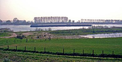 The Rhine near Spijk Rhine, Spijk, Netherlands.jpg