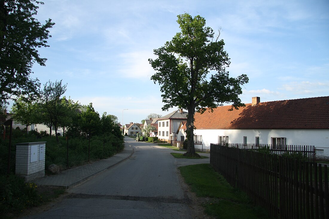 Křeč