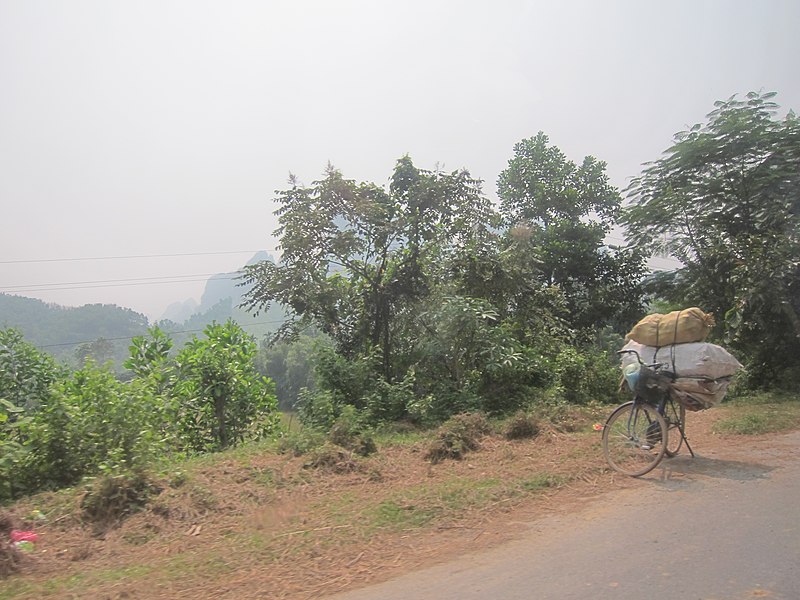 File:Road in Tan Vinh Commune of Luong Son District.jpg