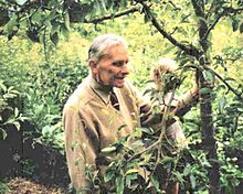 Robert Hart, forest gardening pioneer Robert Hart (horticulturist).jpg
