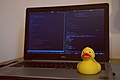 Rubber Duck with Emacs.jpg