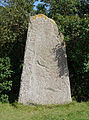 Der Runenstein von Seby ist mit 3 m der höchste auf Öland