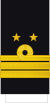 Russia-Navy-OF-8 (Provisional).svg