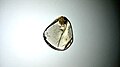 Rutilated Quartz Specimen 3 - standard clear black rutile inclusion.