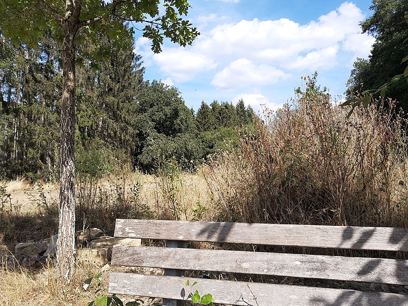 File:Ruwer Hochwald, bench near Pluwig.jpg