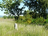 Menhir Bargueyrac