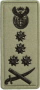 SANDF Rank Insignia General embossed badge left.png