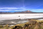 Salar de Surire.jpg