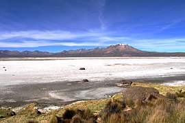 Salar de Surire ve Cordillera de los Andes.