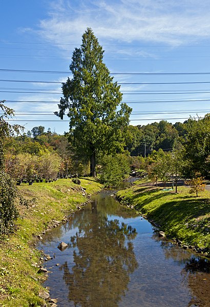 How to get to Saw Mill River with public transit - About the place