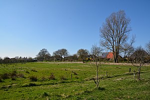 Schleswig-Holstein, Rantrum, Naturerlebnisraum NIK 4934.jpg