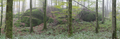 English: Panoramic View of Rehberg Wilde Saudeck, Schotten, Hesse, Germany