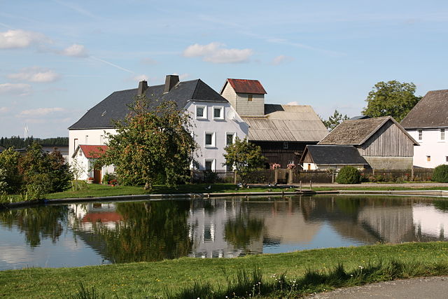 Dorfteich in Schweinsbach