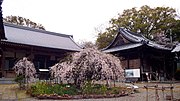 雪蹊寺のサムネイル