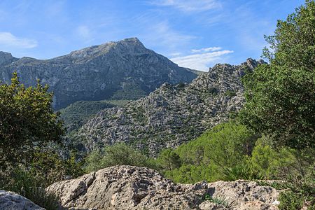 Serra d'es Taix Majorca