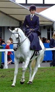 Sidesaddle A type of saddle which allows a rider (usually female) to sit aside