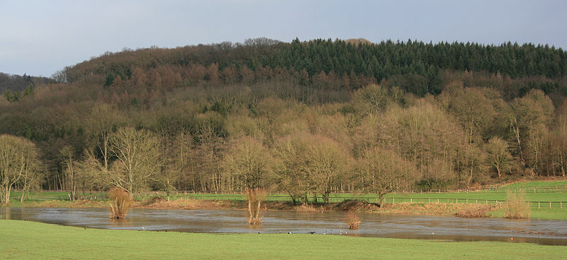 File:Siegauen bei Hochwasser.jpg