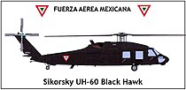 Sikorsky UH-60 Black HawkFAM.jpg