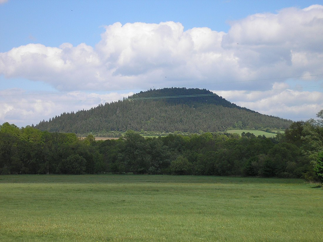 Singener Berg