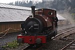 Sir Haydn on Corris Railway - 2012-05-07 (cropped).jpg