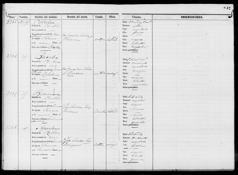 File:Slave Schedules for District 4, Mayaguez(...) - NARA - 63811126 (page 429).jpg