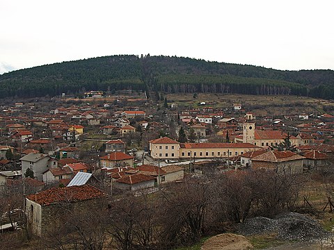 Slavovitsa