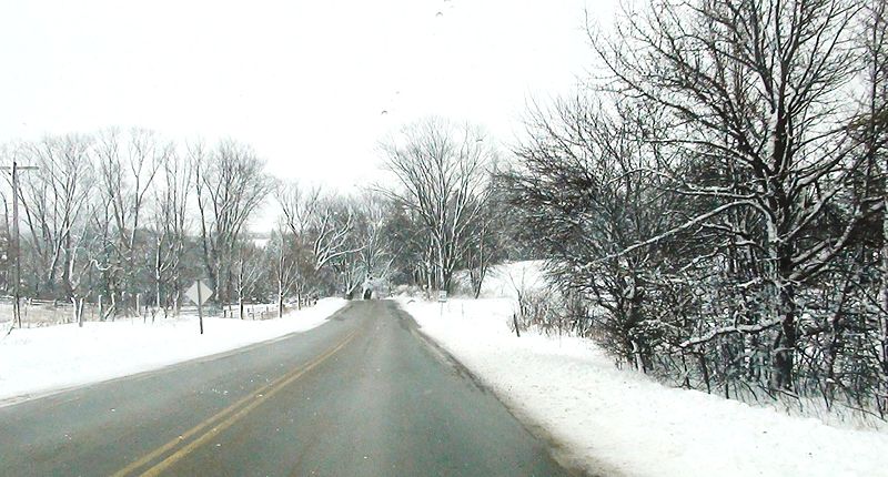 File:Snow (4394834991).jpg