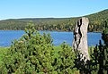 Čeština: Přehrada Souš na Černé Desné, okres Jablonec nad Nisou, ČR English: Souš Reservoir, Jablonec nad Nisou District in Czech Republic