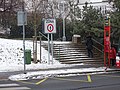 Segways in Prague