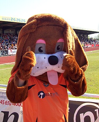 Club mascot Spytty the Dog