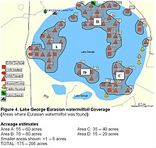 Battle Lake Depth Chart