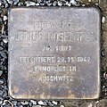 image=https://commons.wikimedia.org/wiki/File:Stolperstein_Stubenrauchstr_11_(Fried)_Julius_Rosenthal.jpg