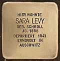 Stolperstein für Sara Levy (Wiesenau).jpg